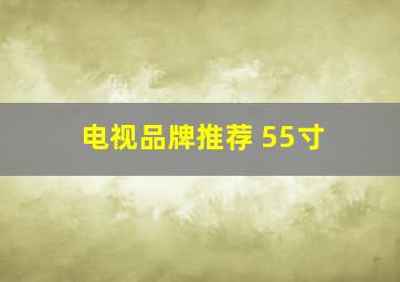 电视品牌推荐 55寸